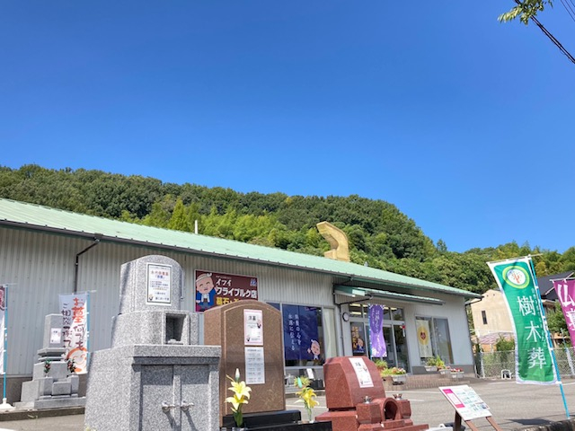 イフイフライブルク店